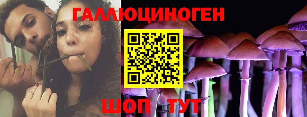 Галлюциногенные грибы мицелий  Псилоцибиновые грибы ЛСД  купить наркоту  Кстово  Вход с VPN 